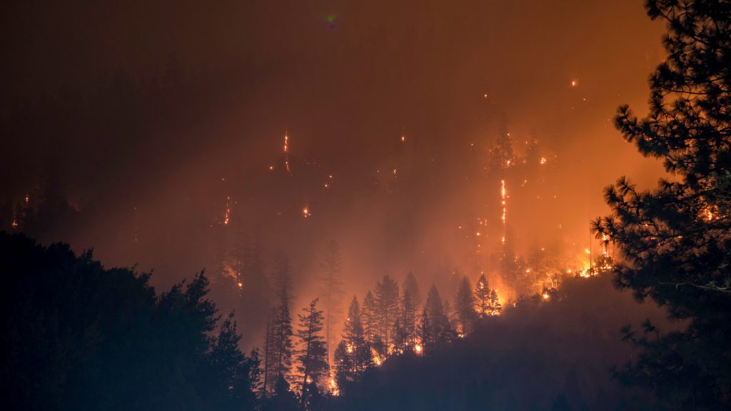 Fire and flood: Fallout of a broken climate